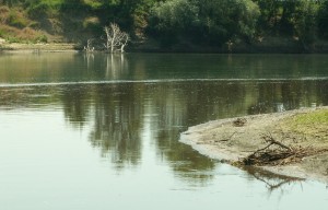 Кракен сайт в тор браузере